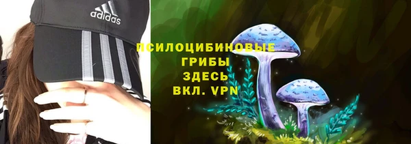 прущая мука Алзамай