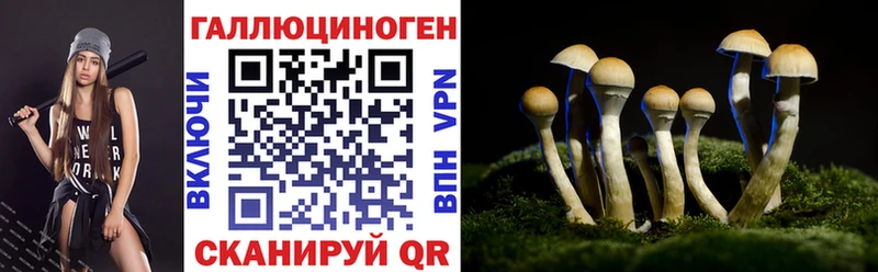 kraken маркетплейс  Игарка  Псилоцибиновые грибы мицелий  продажа наркотиков 
